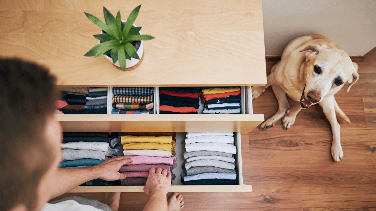 jak-mit-doma-stale-uklizeno-3