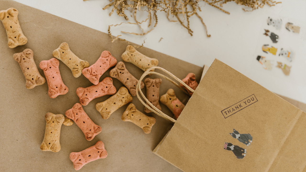 jak-odnaucit-psa-tahat-na-voditku-2