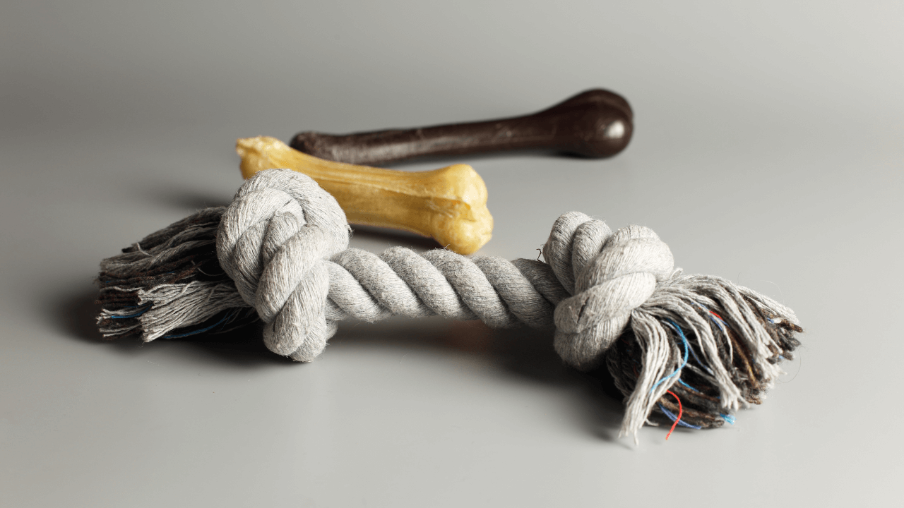 jak-odnaucit-stene-kousat-3