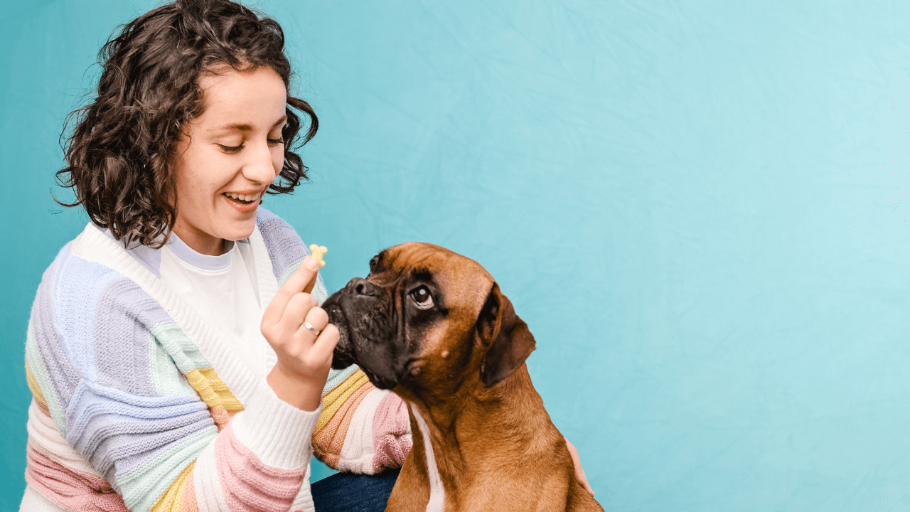 jak-odnaucit-stene-kousat-4