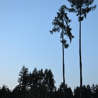 Profilová fotografie