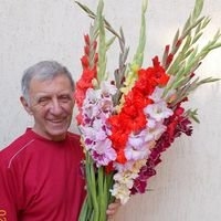 Profilová fotografie