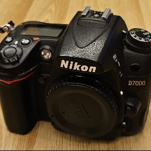 Profilová fotografie