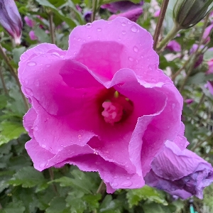 Profilová fotografie