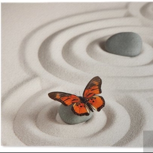 Profilová fotografie