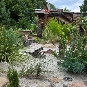 Profilová fotografie